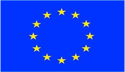 European Union(EU) 
